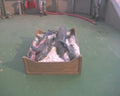 M166 1:12th scale  Tray of sharks