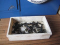 M236  1:12th scale  Tray with lobster detail