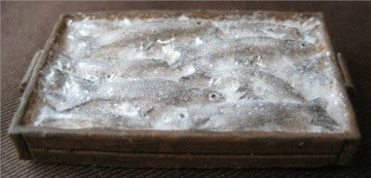 M302 1:12th scale Tray of fish